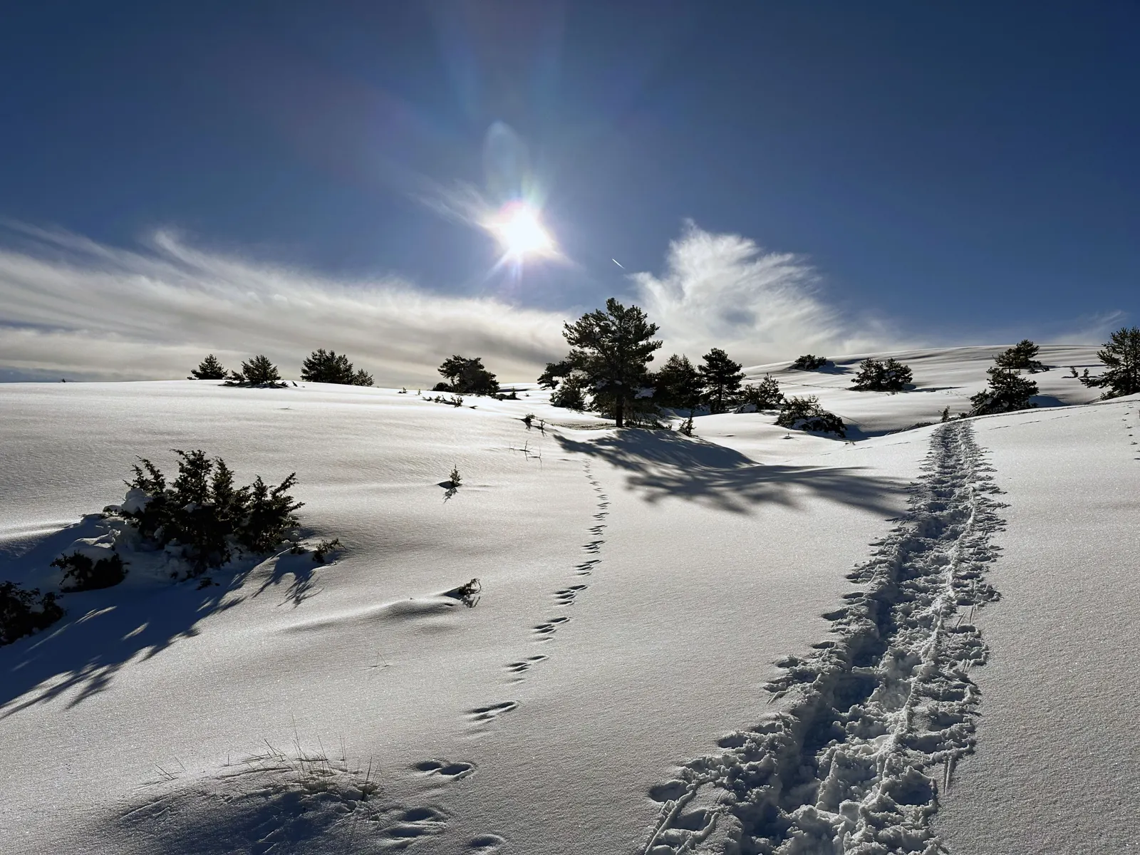 Traces de raquettes dans la neige